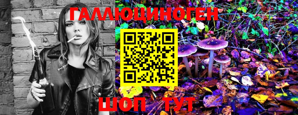 Псилоцибиновые грибы MAGIC MUSHROOMS Карталы