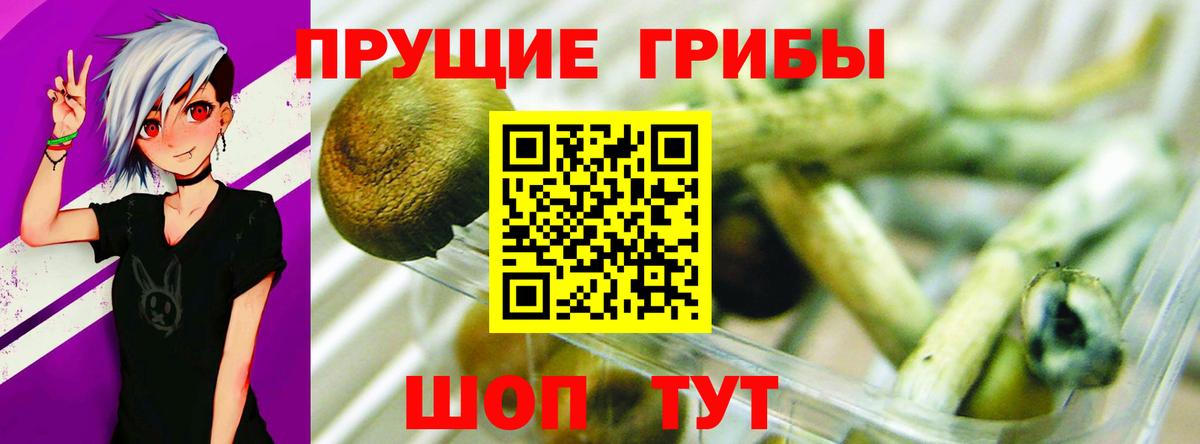 Карталы  Псилоцибиновые грибы прущие грибы  Вход с VPN 